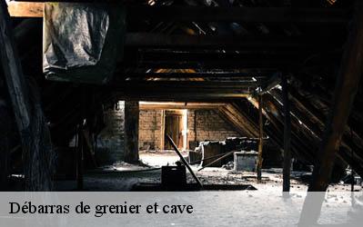 Débarras de grenier et cave Vienne 