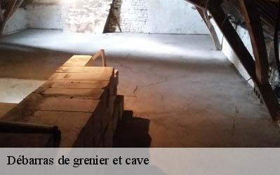 Débarras de grenier et cave Vienne 