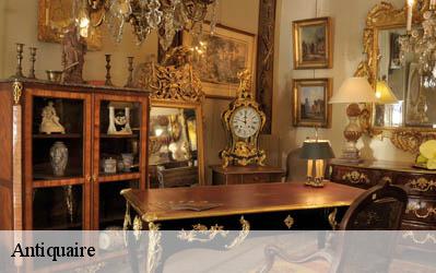 Antiquaire Vienne 