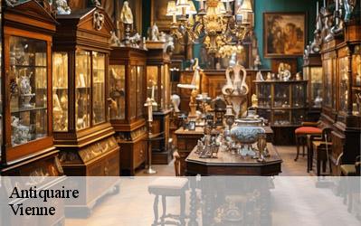 Antiquaire Vienne 