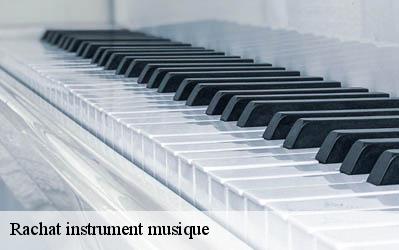 Rachat instrument musique Vienne 