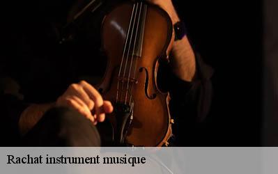 Rachat instrument musique Vienne 