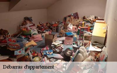 Débarras d'appartement  86250