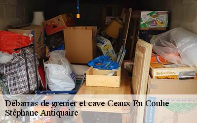 Débarras de grenier et cave  86700