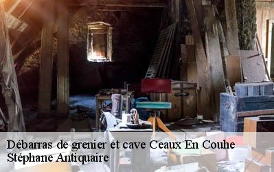 Débarras de grenier et cave  86700