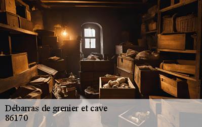 Débarras de grenier et cave  86170