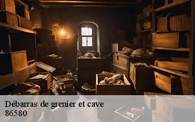 Débarras de grenier et cave  86580
