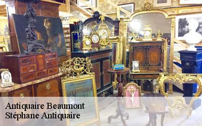 Antiquaire  86490