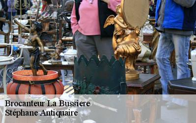 Brocanteur  86310