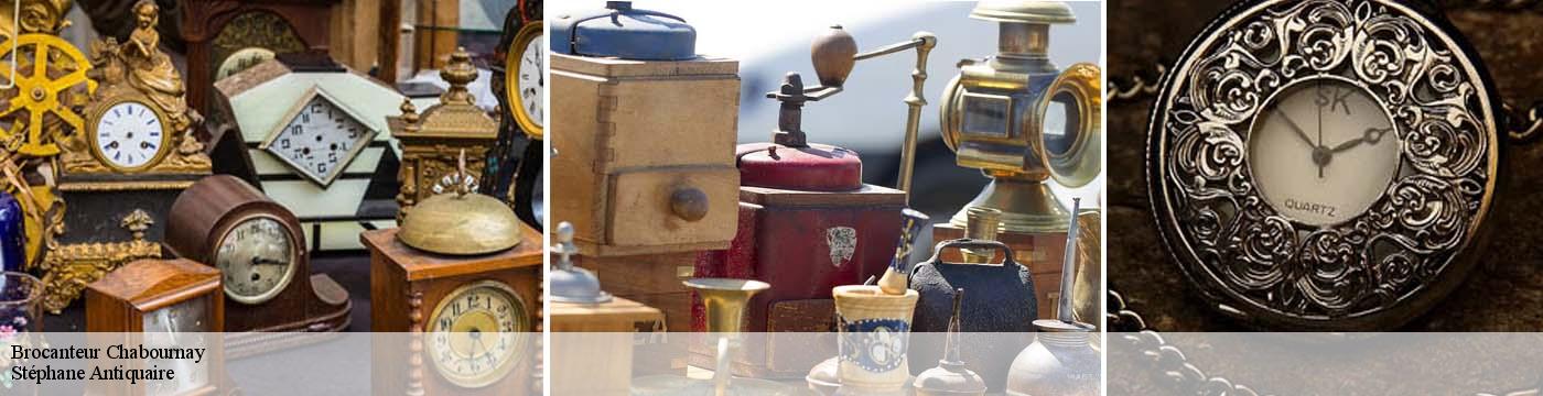 Brocanteur  chabournay-86380 Stéphane Antiquaire
