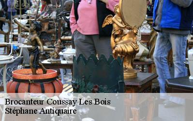 Brocanteur  86270