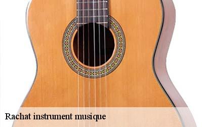 Rachat instrument musique  86300