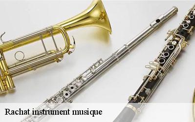 Rachat instrument musique  86310