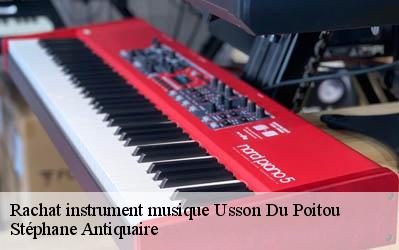 Rachat instrument musique  86350